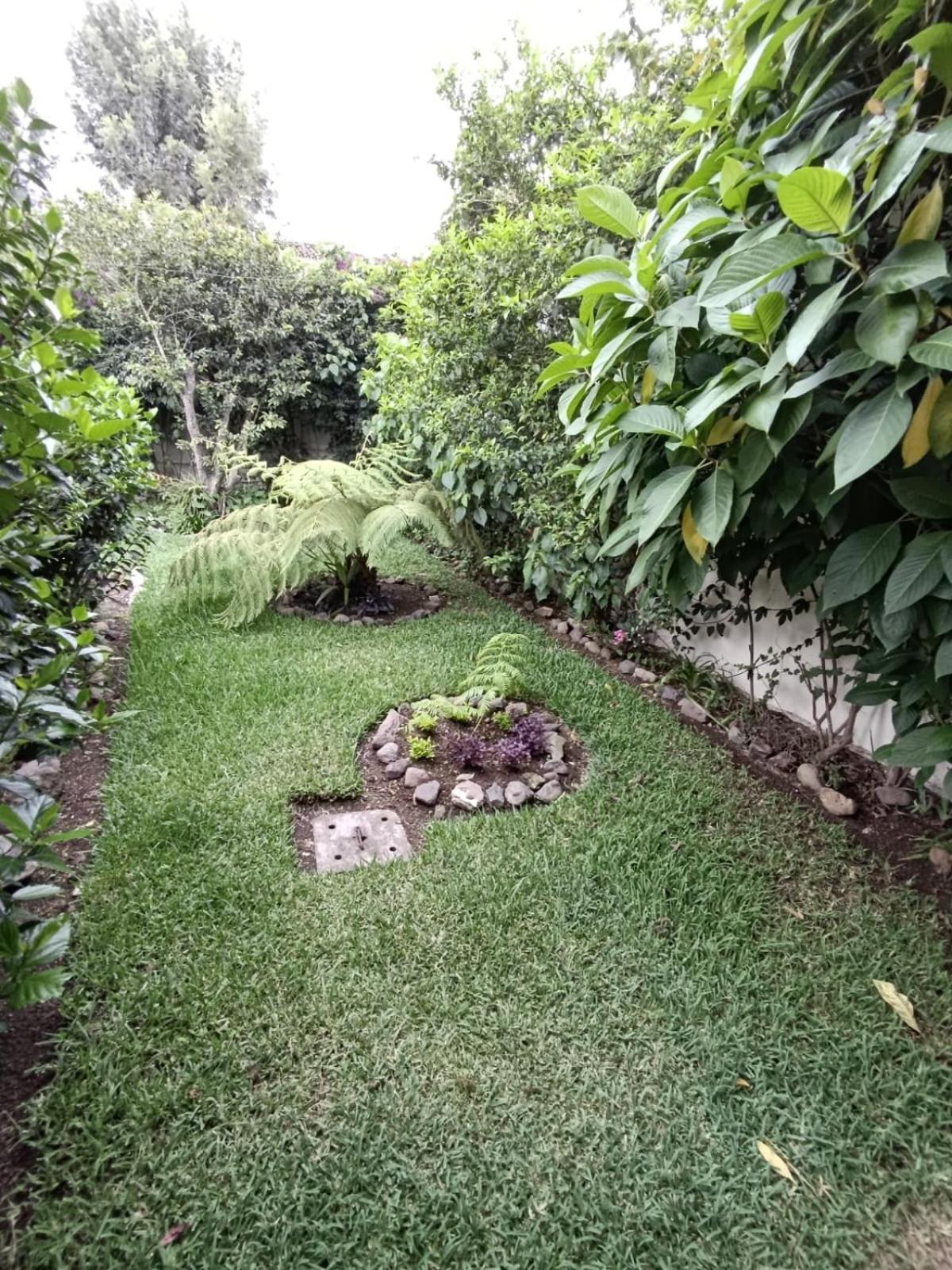 Donde Lico Hotel Antigua ภายนอก รูปภาพ